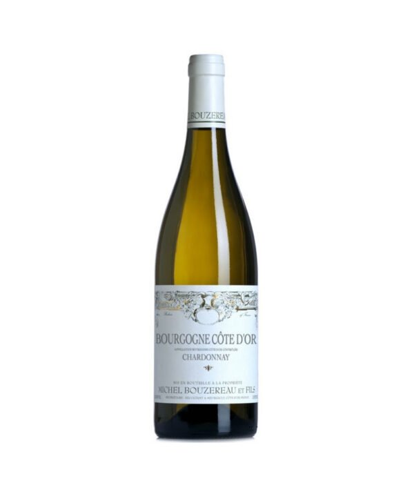 BOURGOGNE BLANC COTE D'OR 2022 - BOUZEREAU MICHEL ET FILS