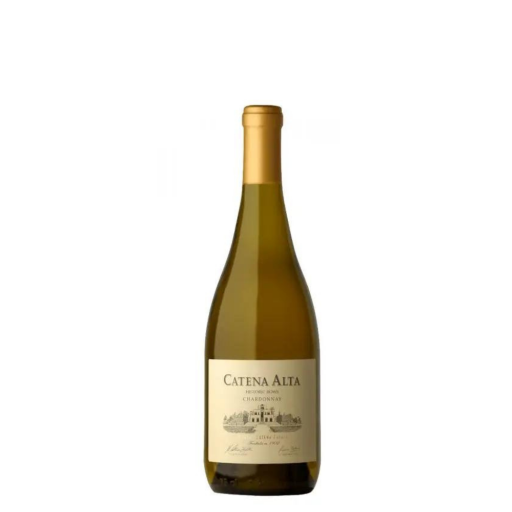 ALTA CHARDONNAY 2023 - CATENA