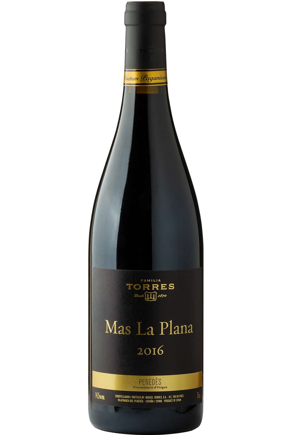 MAS LA PLANA 2016 PENEDES - TORRES